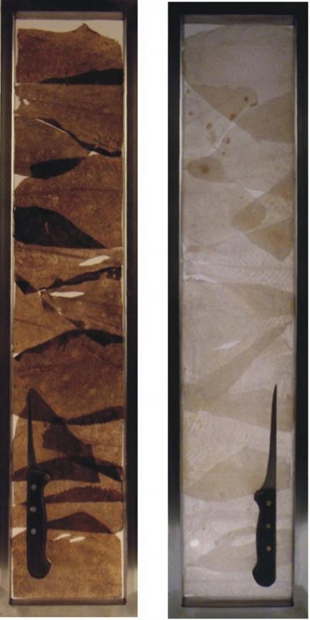 WHITE SKIN AND BLACK SKIN