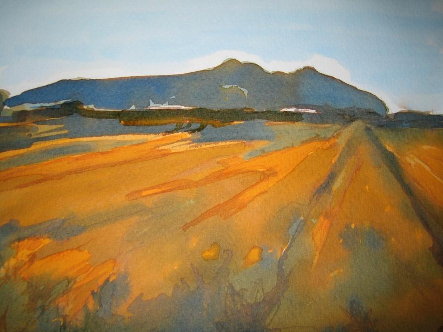 Circeo - collezione privata 