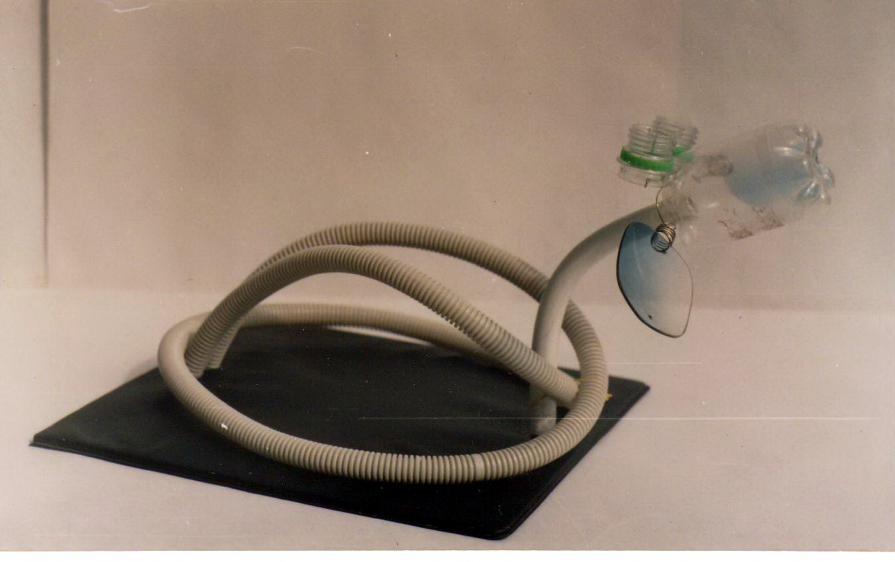 " NEOLITRIC " CYCLE - SACROFICIUL