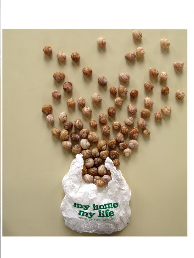 IF 179 - my Home, my Life. 