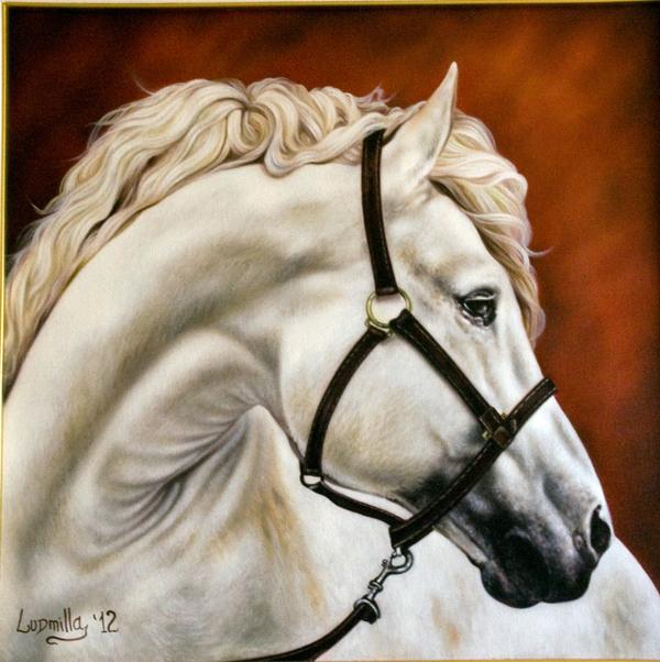 Cavallo bianco