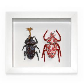 Coniugi Kimono (Japanese Parentes)