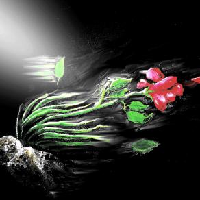 A Rose in the Wind