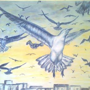 Gabbiano Jonathan Livingston