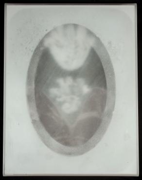 Ti Mostro I Frutti In Bighiaccio