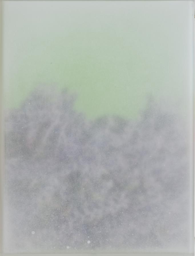 Natura In bighiaccio