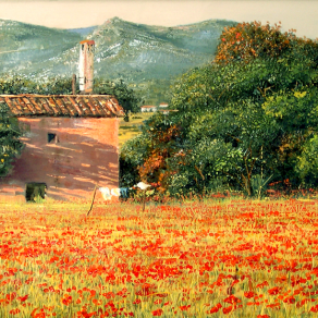 la cascina dei papaveri