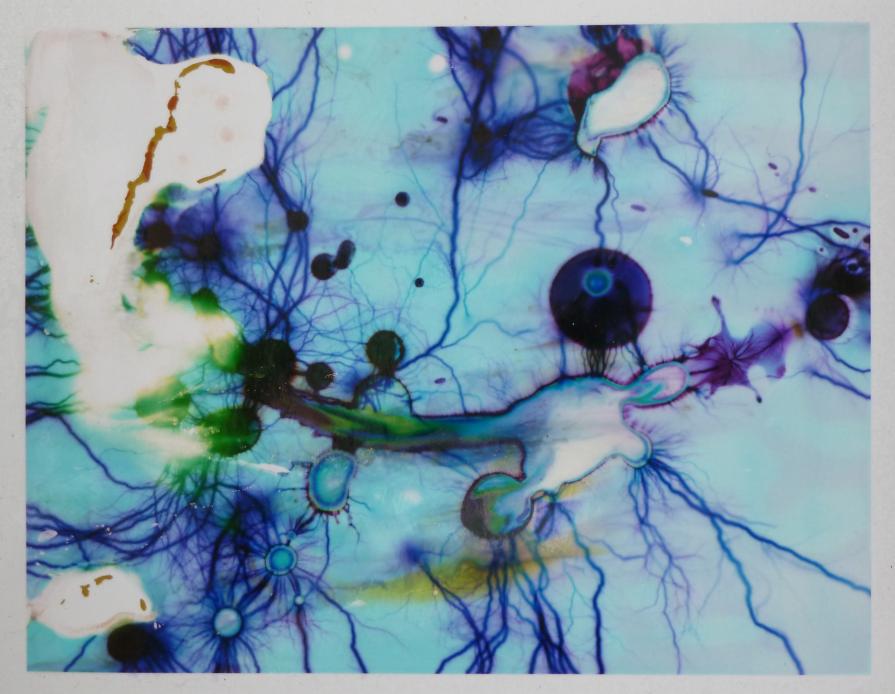 'Rising Universe (No. 2)'