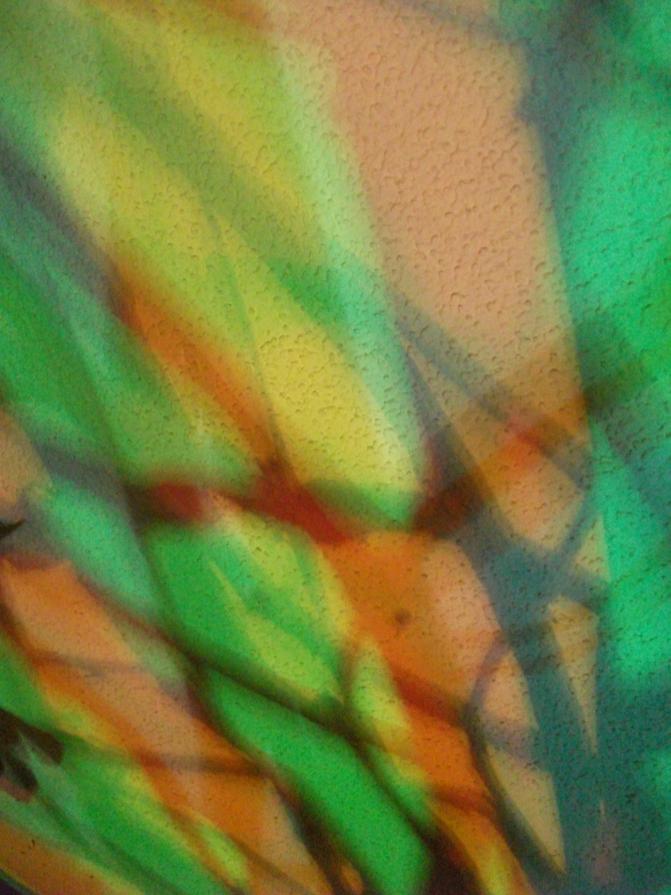 I COLORI DELLA BIODIVERSITÀ