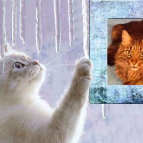 .. E LO CHIAMANO AMOR !!! ...