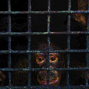 Only man creates cages for creatures that should be naturally free