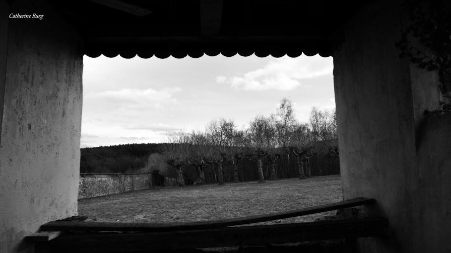 Théâtre de la nature