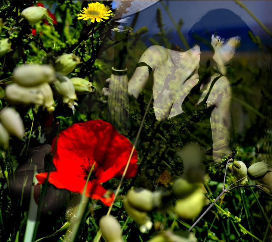 Ti perdo tra i fiori