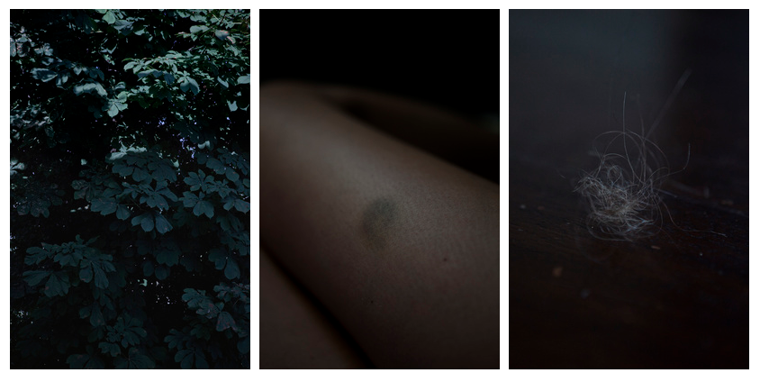 The last summer / III. La guerre 