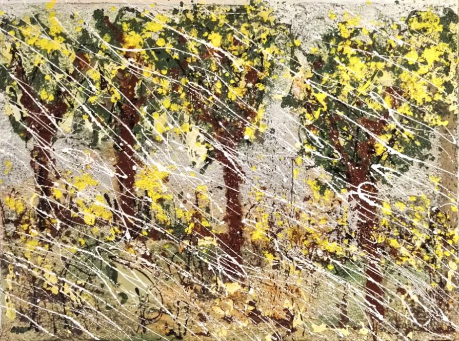 PIOGGIA NEL BOSCHETTO