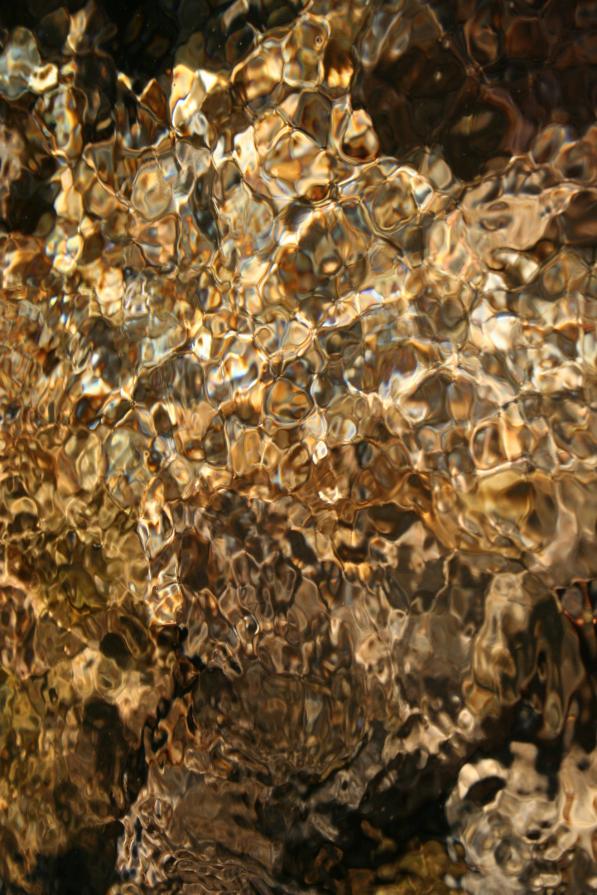 La pianta liquida della Connessione