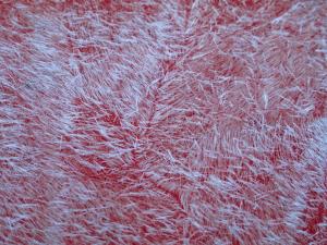 Keven Francis - Ice Skin