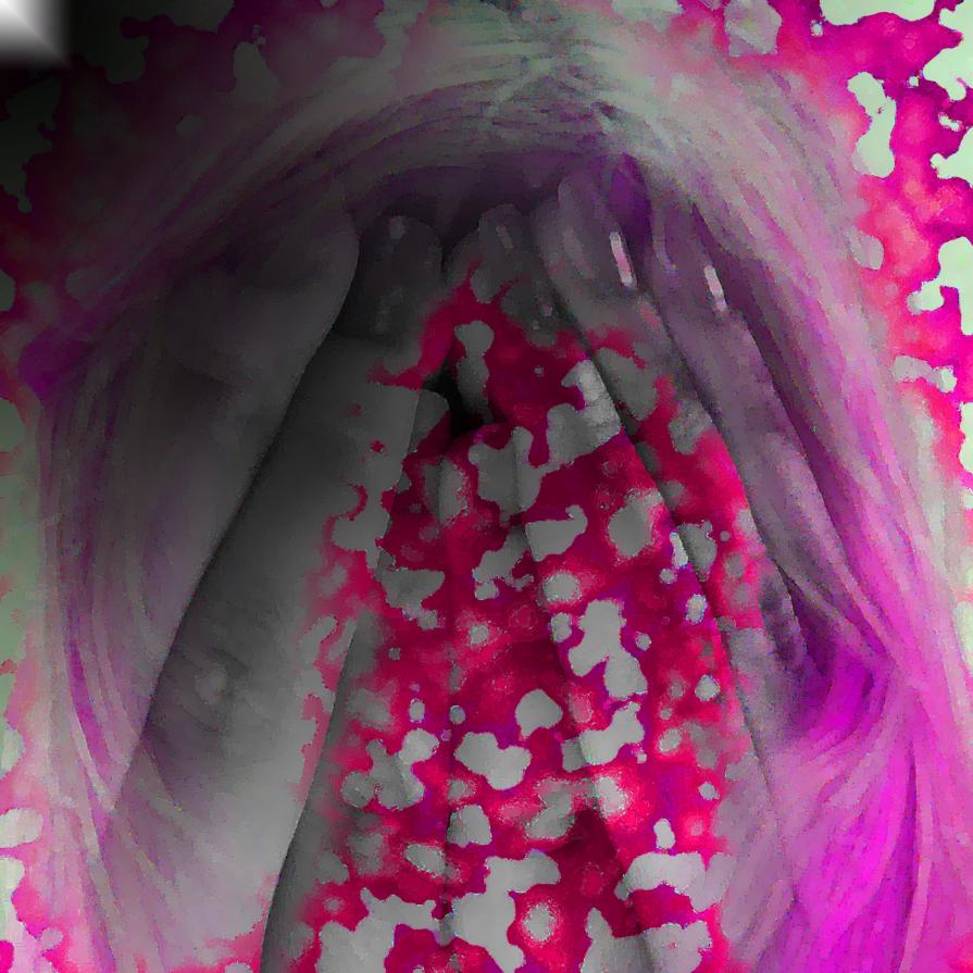 Continuerò a urlare il tuo nome a me stessa...!!!