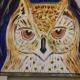 Wisdom within an Owls Eyes