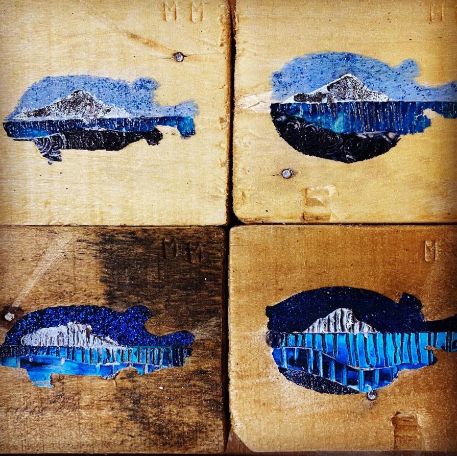 il pesce Palla ai tempi del convid 19