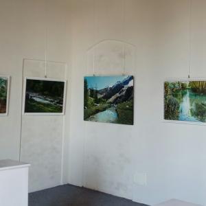 Palazzo Ducale di Revere dal 1° Luglio.