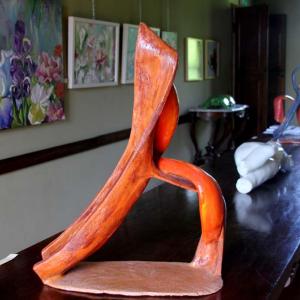 Natura:Luci e Ombre a Modena.