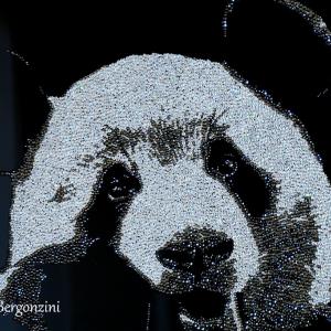 ANIMALS ART A PALAZZO DUCALE