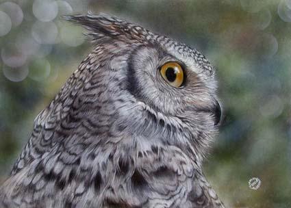 WILDLIFE - IL MONDO DEGLI ANIMALI