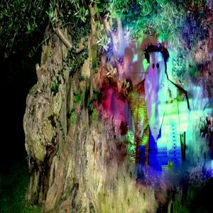 "Potentia divina gratia In Urlo d’Ulivo”di Rosa Didonna "Potentia divina gratia In Urlo d’Ulivo”di Rosa Didonna