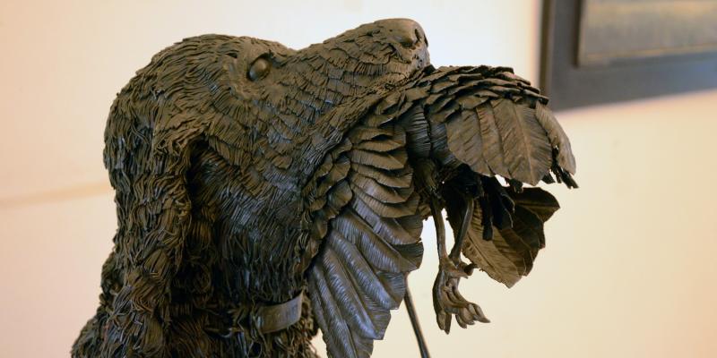 LE FOTO DI ALTRA NATURA IN VILLA fino al 25 ottobre CLUB LA MERIDIANA (MO)