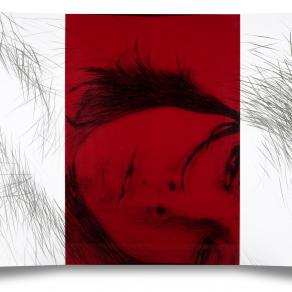 divina carne-volume5