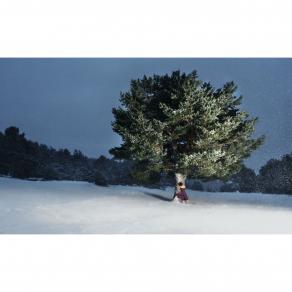 The Lovers of the Arctic Circle #01