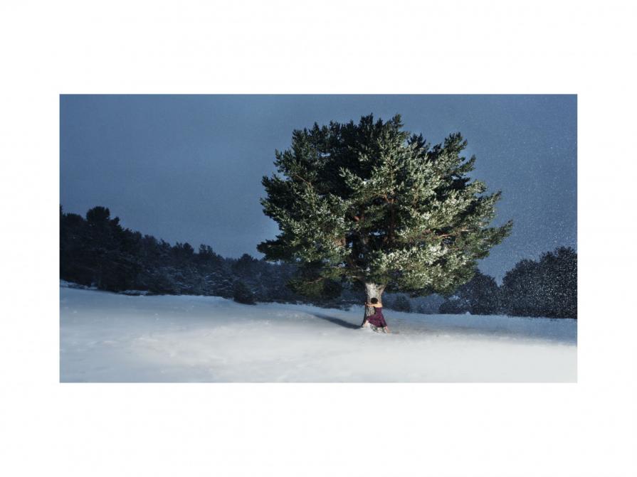 The Lovers of the Arctic Circle #01