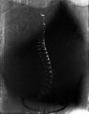 Frame senza titolo 6