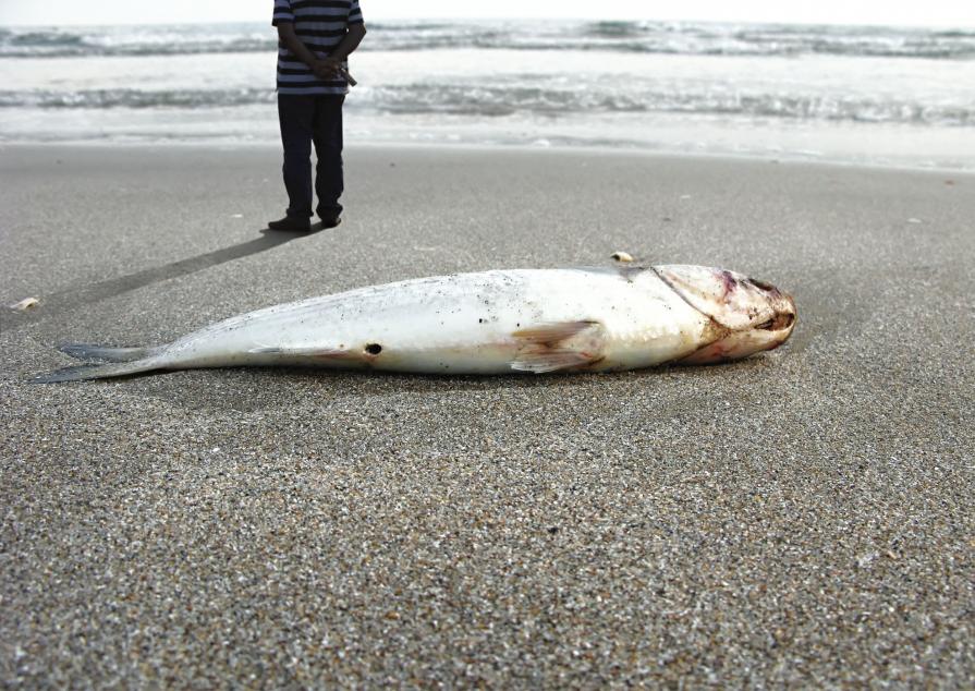 On the Beach II., from Unsettling Photographs series 