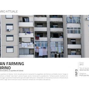 Urban Farming a Librino