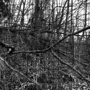 Broken Grid #4, 2013