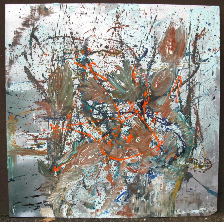 Structure of Carnivorous Plants