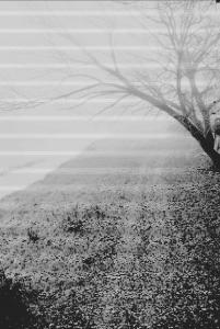 Roberto Dapoto - Nebbia