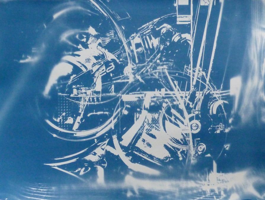 Cyanotype No19