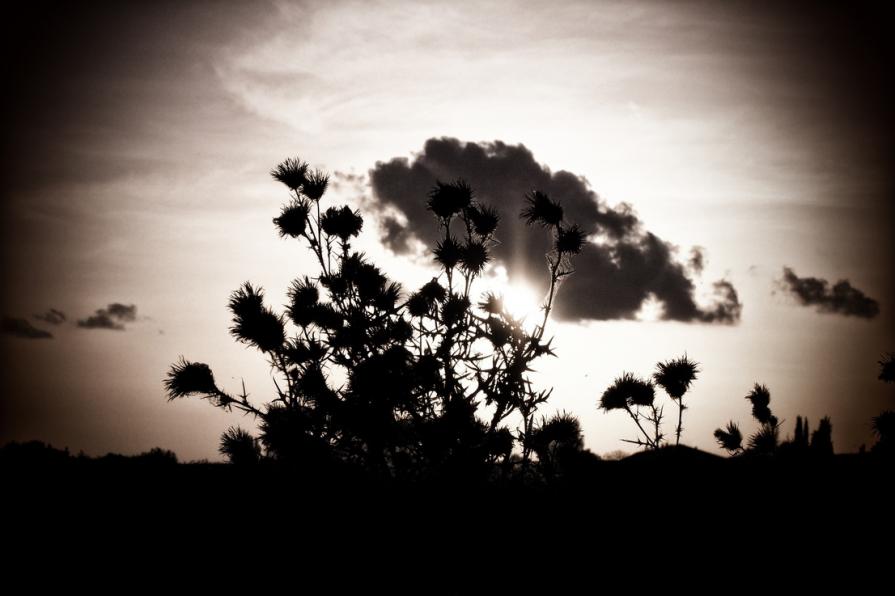 Visione parziale del "tutto" 