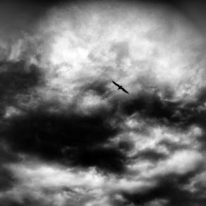 Oltre le miserie umane 