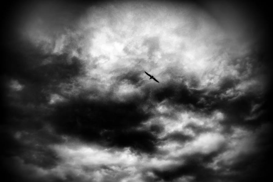 Oltre le miserie umane 