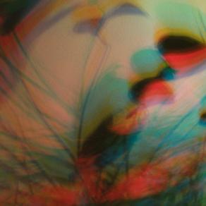 I COLORI DELLA BIODIVERSITÀ