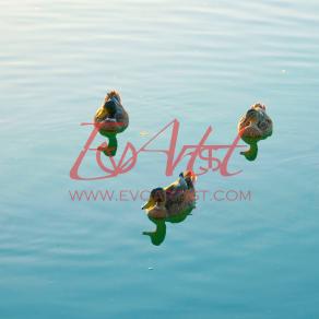 Attention! Please...