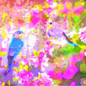 “Non abbiate paura della bontà e neanche della tenerezza.” 