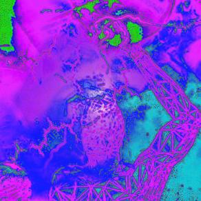 Ci sono persone eccezionali, che sanno sempre come farti rialzare dal fango !!!