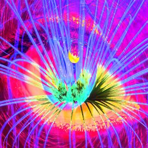 . . . SVEGLIAMI !!!! 