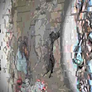 Image Nr 2 please not download