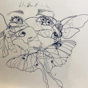 Untitled (self becoming moths)